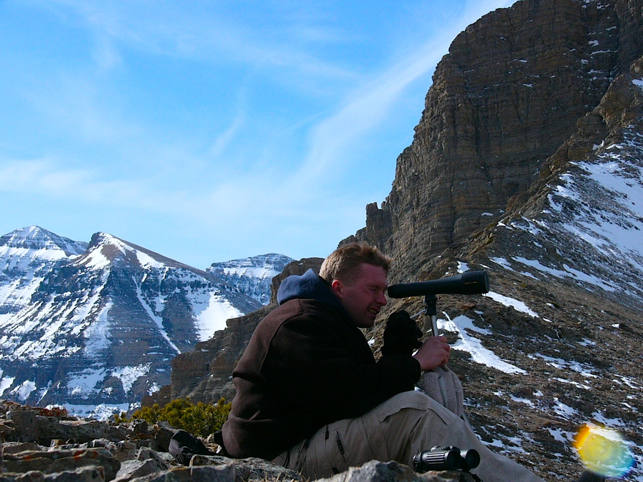 002 – Monitoring Bighorn Ewe Populations