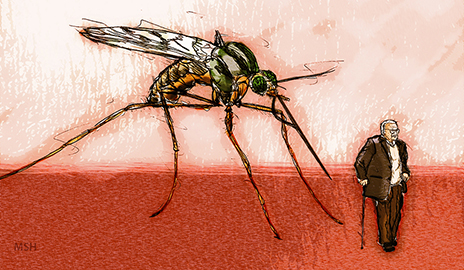 002 - Mosquito Illustration (Yale News)
