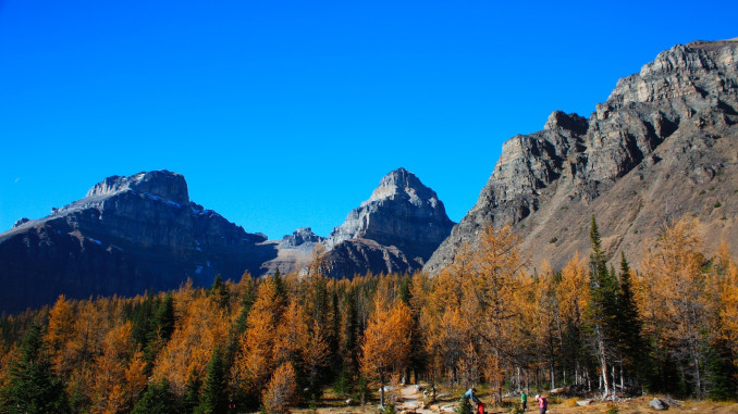 005 - Eiffel Peak, Pinnacle Mountain and Mount Temple