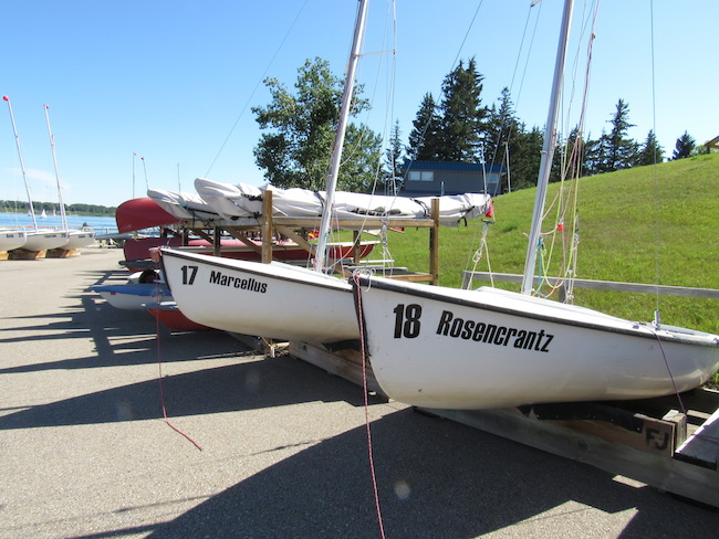 Rosencrantz and Marcellus at South Glenmore Park. Photo by Madison Bartlett.