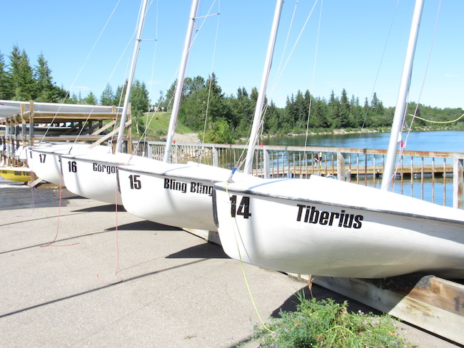 Bookish boats at South Glenmore Park. Photo by Madison Bartlett.