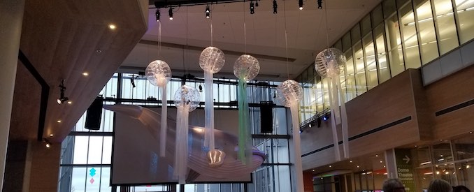 This was one of the last Adults Only Night events I worked on for my job as a Public Programmer at TELUS Spark. I loved the effect of these jellyfish made from bumper balls in front of the inflatable whale. Later in the night we deflated the whale and got visitors to sing whalesong to it to reinflate / save it. It’s a magical memory now.