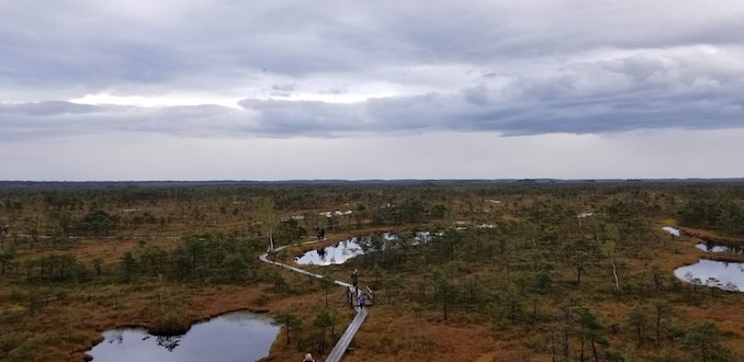  Sept 15, 2018 – I was at an art conference in Latvia (Open Fields 2018) and we went on a tour of the Kemeri Bog to take in some sound art. This is a picture from a lookout point, it was stunningly gorgeous and I loved how it smelled! Also the moss you was really fascinating close up.