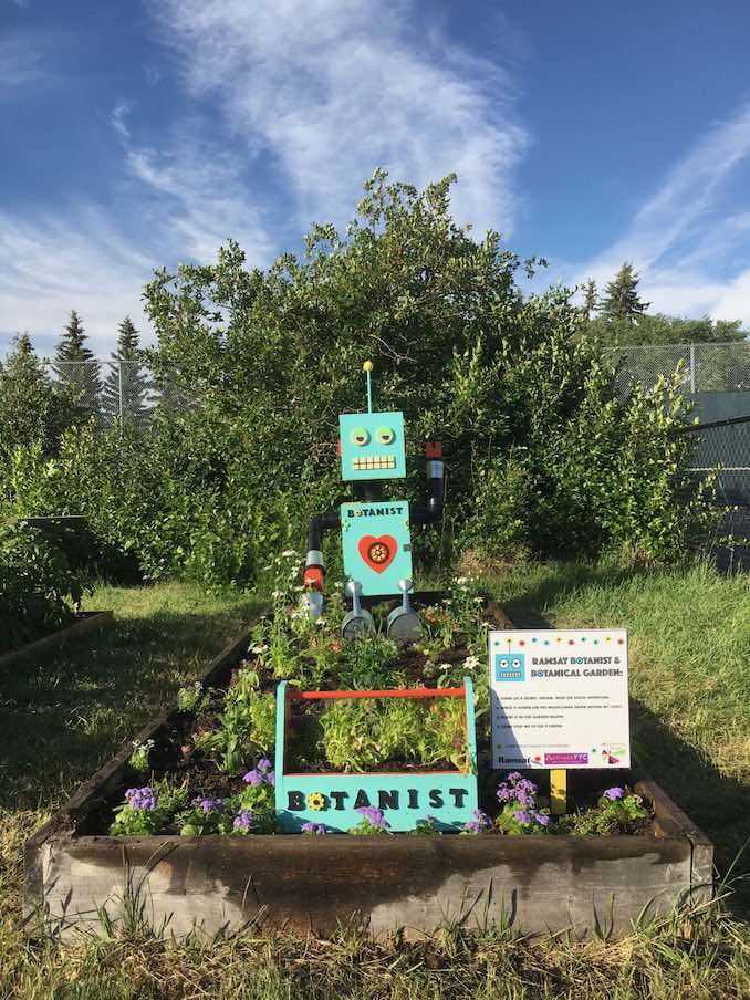 This is a photo of the Botanist that I made with my neighbour, the help of an Activate YYC grant and our sponsors reGenerate Designs. You can visit him any time at the Ramsay Community Garden.