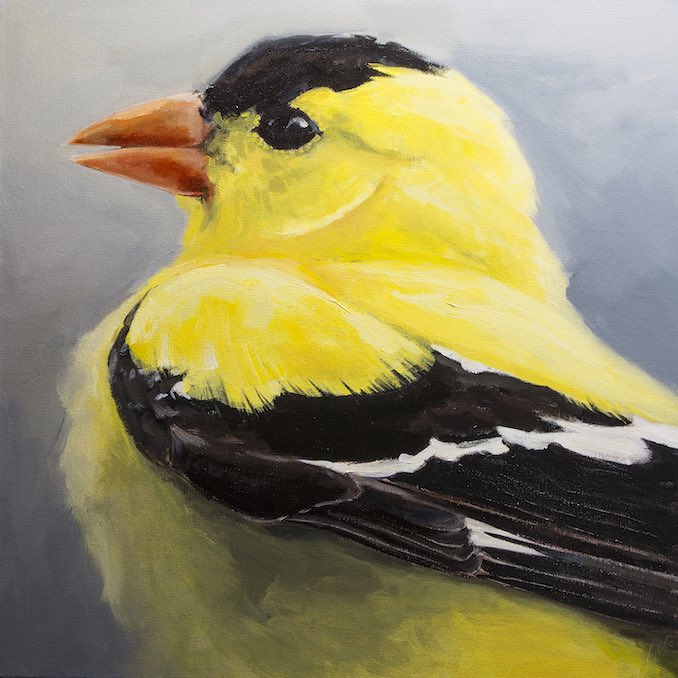Painting - I begin all of my images with photos I’ve taken myself, in this case photos of birds I’ve encountered in nature.The bright yellow colour of this American Goldfinch was irresistible. I was entranced by the flash of yellow as he would dart from tree to tree.