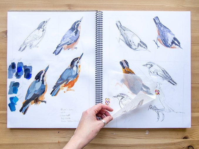 Process - My studio sketchbook is a journal of different ideas and media I’ve tried out. In this spread, I’m working out the forms for a painting of a nuthatch.