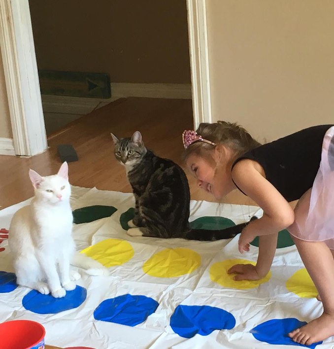 Our cats Popcorn & Babou love to be included in family game night