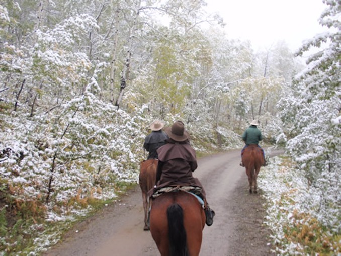 Wild Jobs Part Thirteen: Horse Rancher