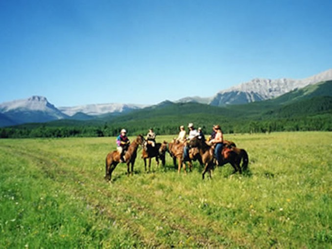 Wild Jobs Part Thirteen: Horse Rancher