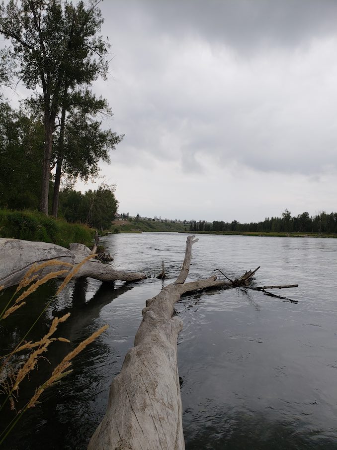 Courtney Dahoy - Photo of the Bow River, down in Douglasdale. Nature doses are excellent way to keep calm and carry on.