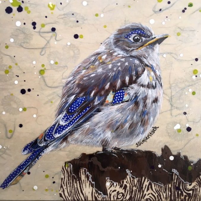 Young Mountain Blue Bird by Terra Simieritsch