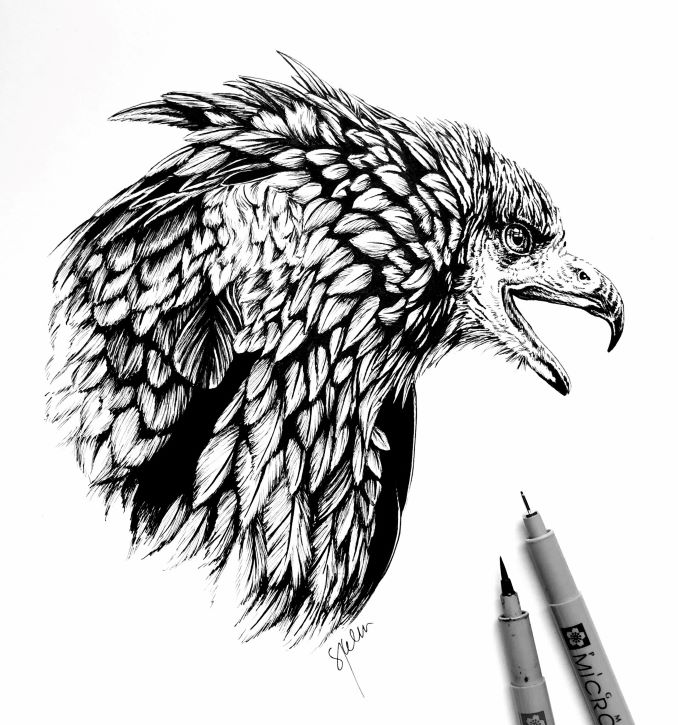 This is a recent detailed blackwork piece I did. I loved drawing all the individual feathers, it's my form of meditation.