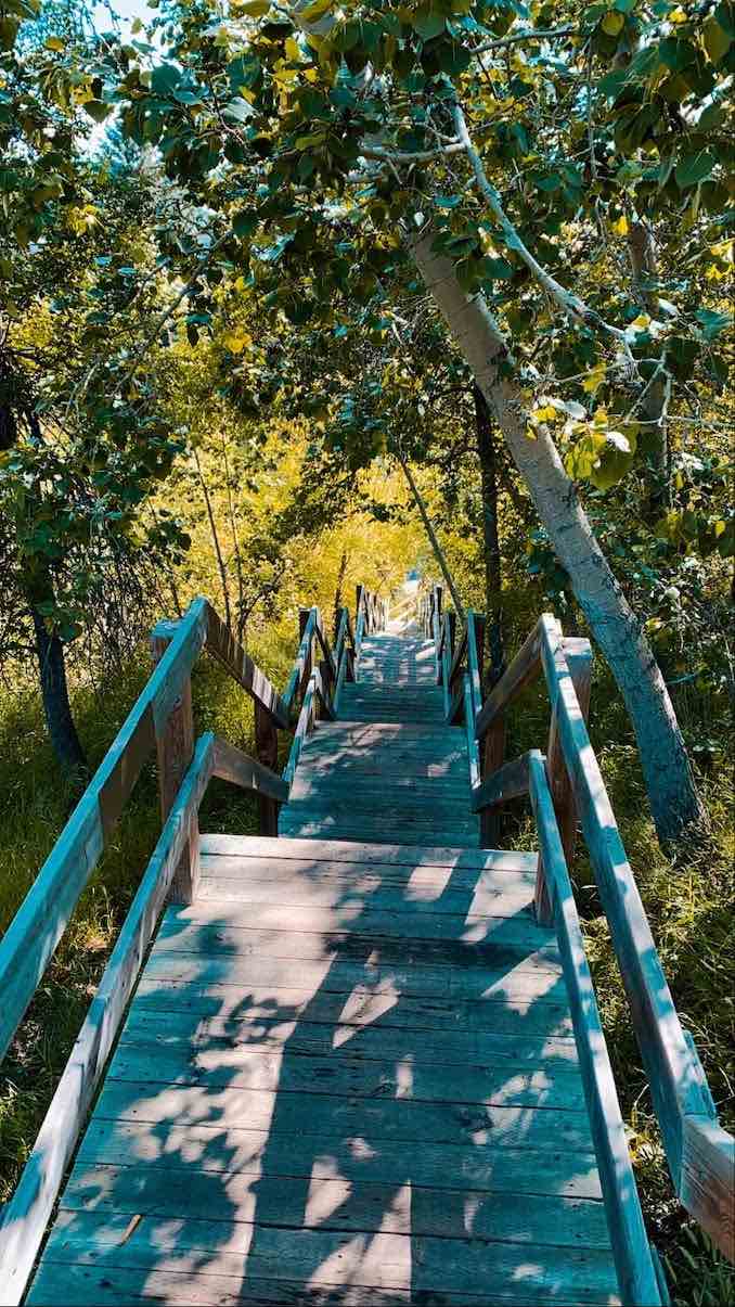 Daniela Vasco - I love walking around Calgary and finding quiet little spots. When I first found these stairs, there was no one around except for a couple of birds chirping here and there and it felt so serene. I love finding inspiration for my own work during walks.