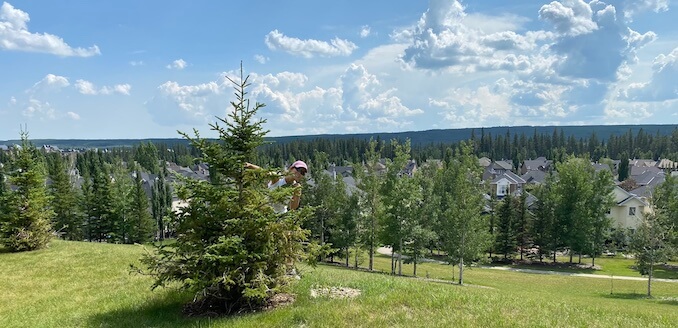 it is one of my favorite places to walk my neighborhood, l can see the beauty of Griffith Woods Park and feel the power of the land.