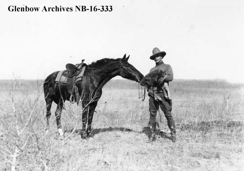 Buffalo National Park