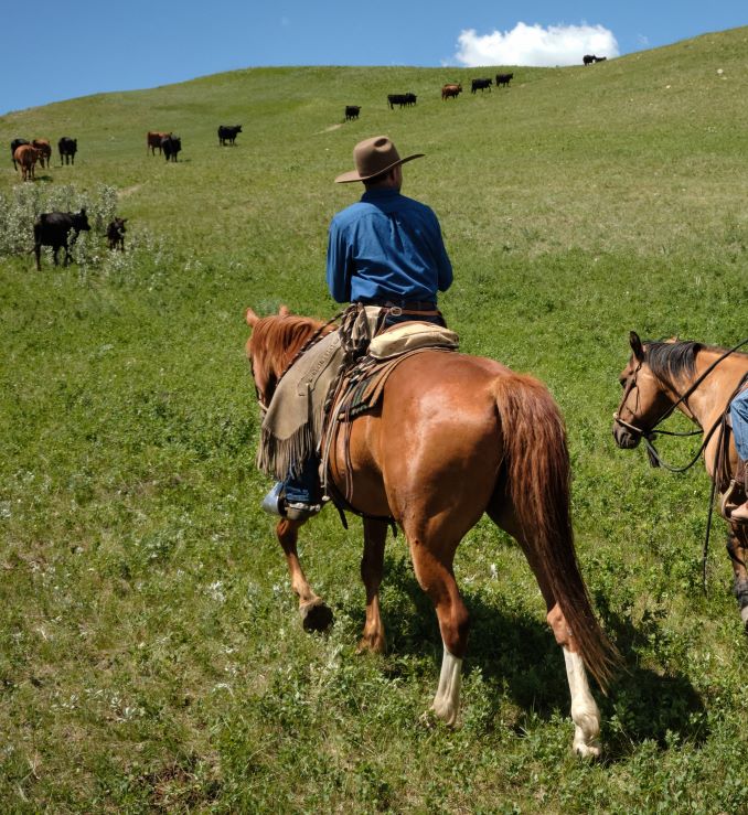 Fishburn Ranch