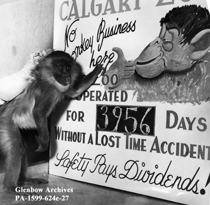 October 22-1960-Safety information boardCalgary ZooCalgaryAlberta