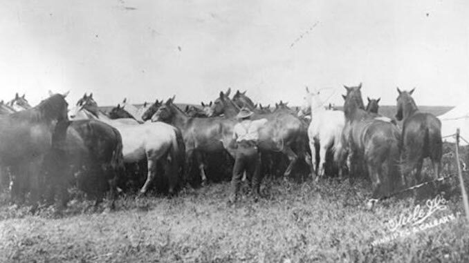 Vintage Photographs from the Bar U Ranch