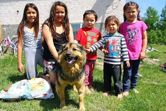 Canadian Animal Task Force