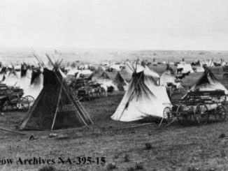 A Curated Collection of Historic Photos from Sarcee Camp