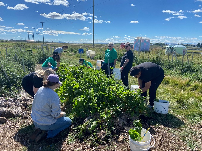 Grow Calgary