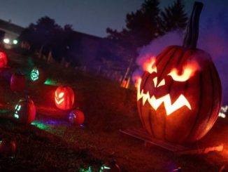 Pumpkins After Dark in Calgary: A Candid Review of Canada's Biggest Halloween Festival