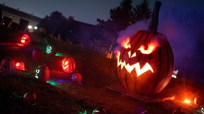 Pumpkins After Dark in Calgary: A Candid Review of Canada’s Biggest Halloween Festival