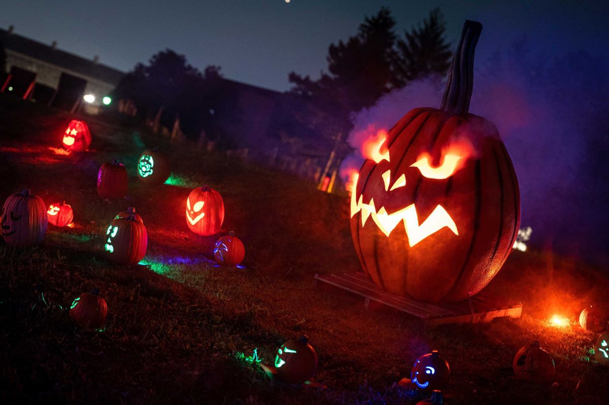 Pumpkins After Dark in Calgary: A Candid Review of Canada's Biggest Halloween Festival