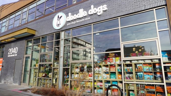 Homegrown Business: Meghan Huchkowsky of Doodle Dogs