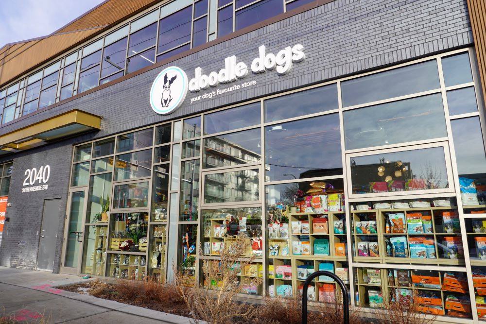 Homegrown Business: Meghan Huchkowsky of Doodle Dogs
