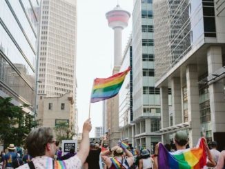 What to do in Calgary this August, 2024