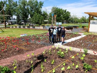 Calgary Climate Hub