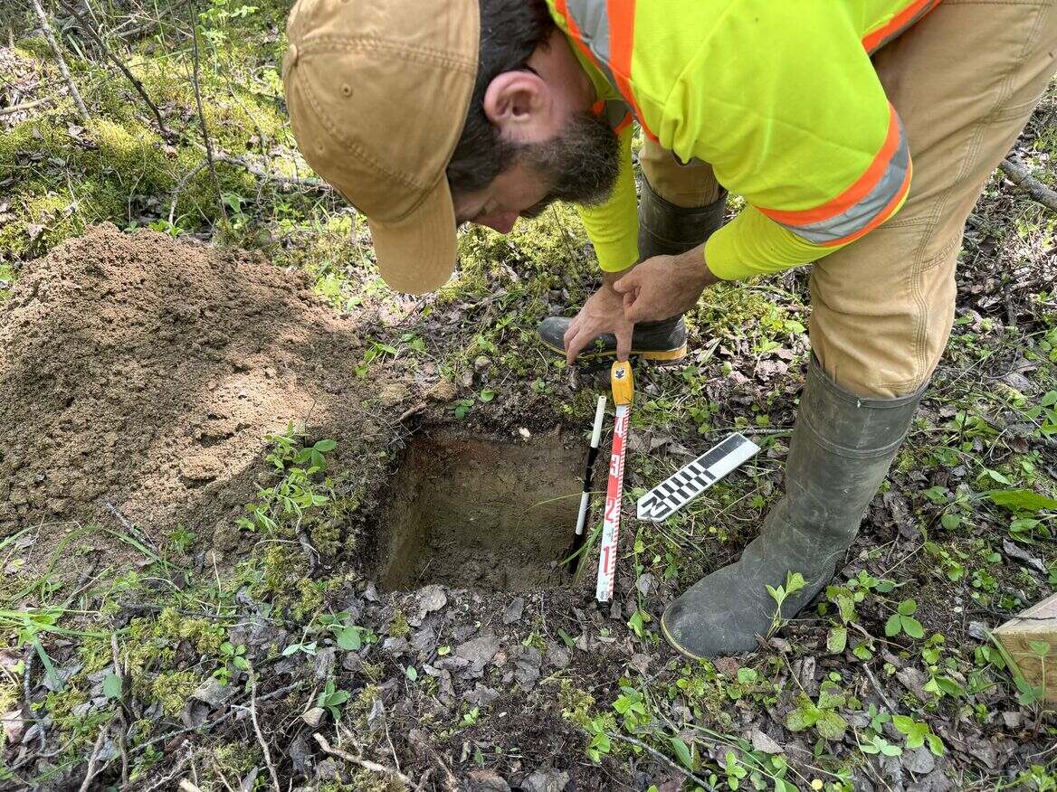 Archaeologist