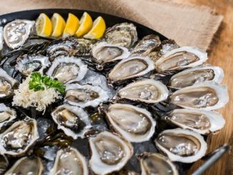 Rodney’s Oyster House: Fresh Seafood & Casual Dining in Calgary