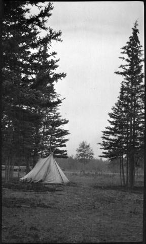 Kootenay Plains