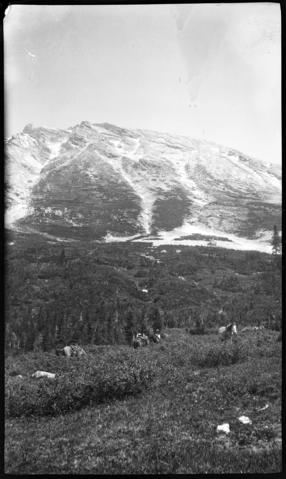 Kootenay Plains