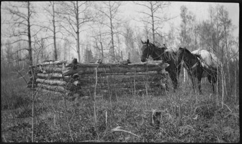 Kootenay Plains
