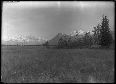 Kootenay Plains