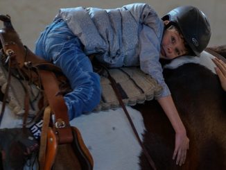 Prairie Sky Equine Assisted Therapy