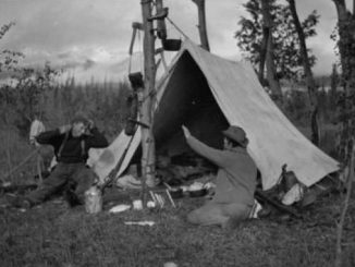 Old Photographs from Kootenay Plains (1904-1969)