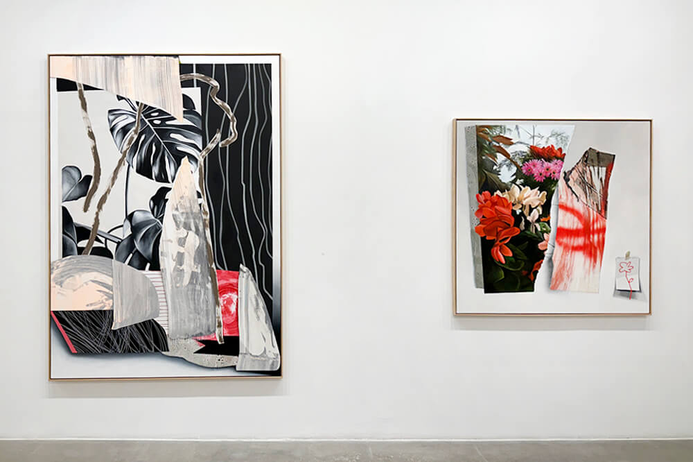 Fiona Ackerman