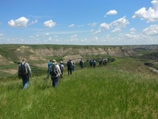 Alberta Wilderness Association