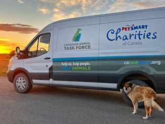 Canadian Animal Task Force