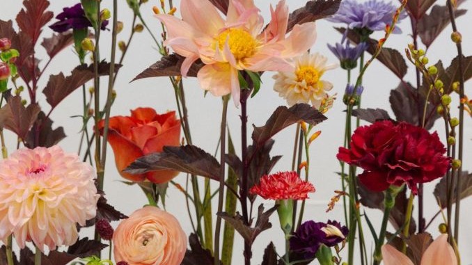 Homegrown Business: Ivy of Jarman Flower Shop