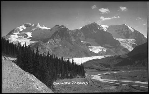 Columbia Icefield