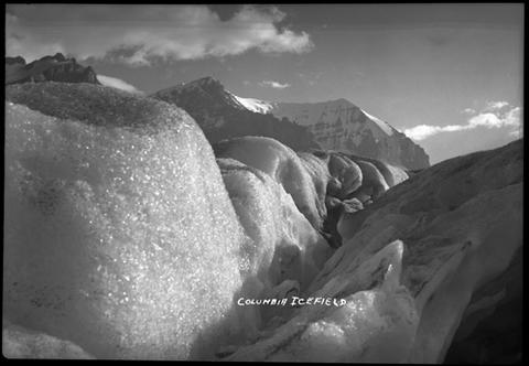 Columbia Icefield