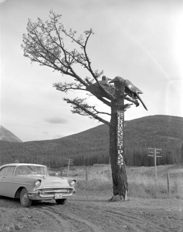 Crowsnest Pass
