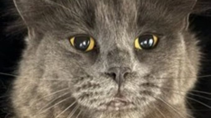 Mala