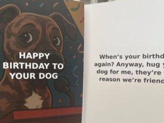 Roast Cards Inc