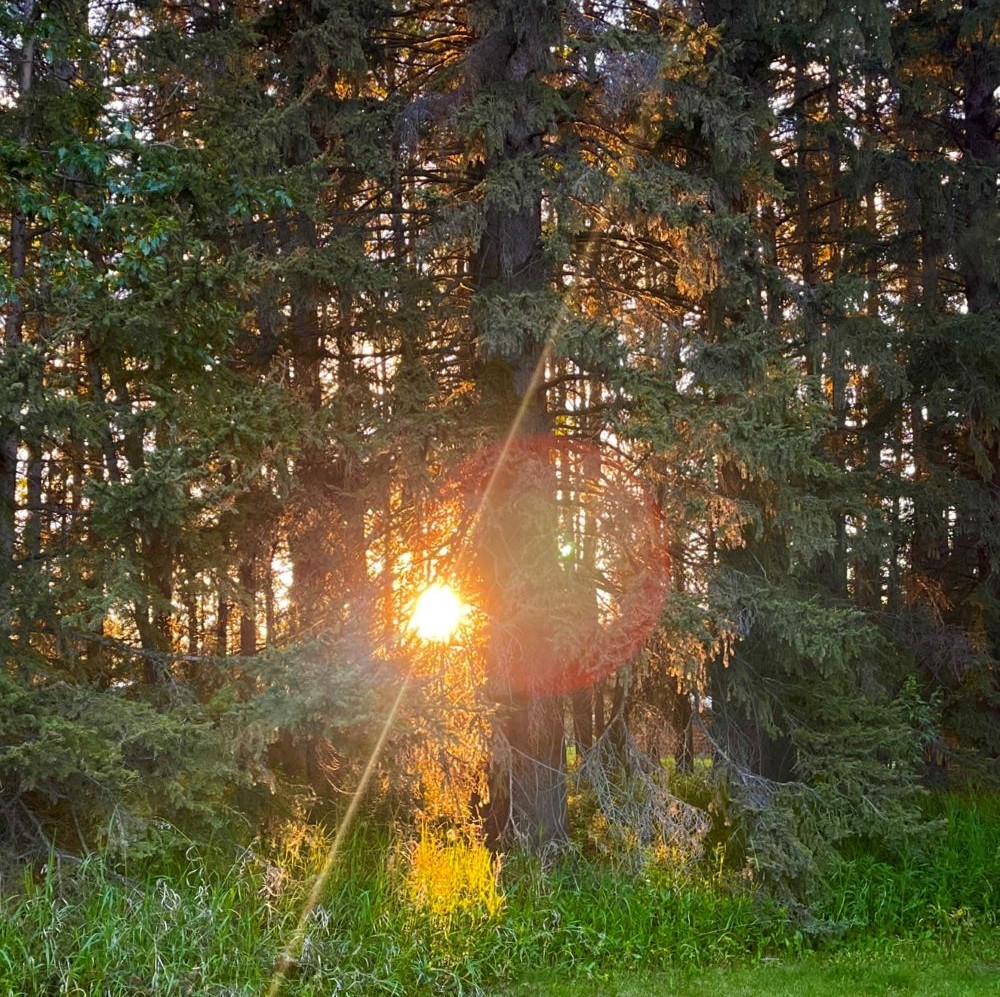 Mavarti